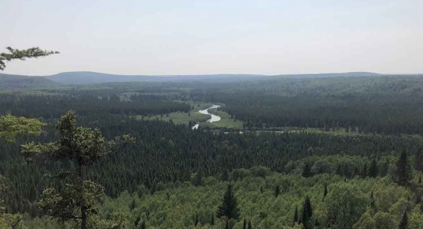 from a high vantage point a river winds through a forest of green trees